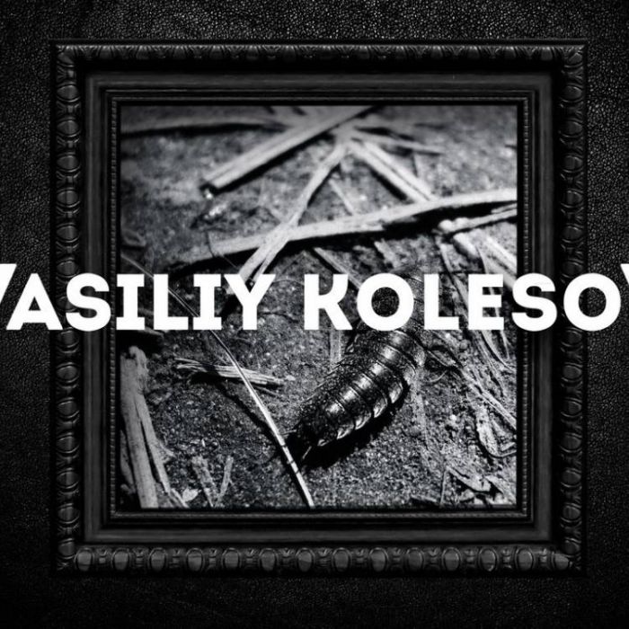 Vasiliy Kolesov-Exit