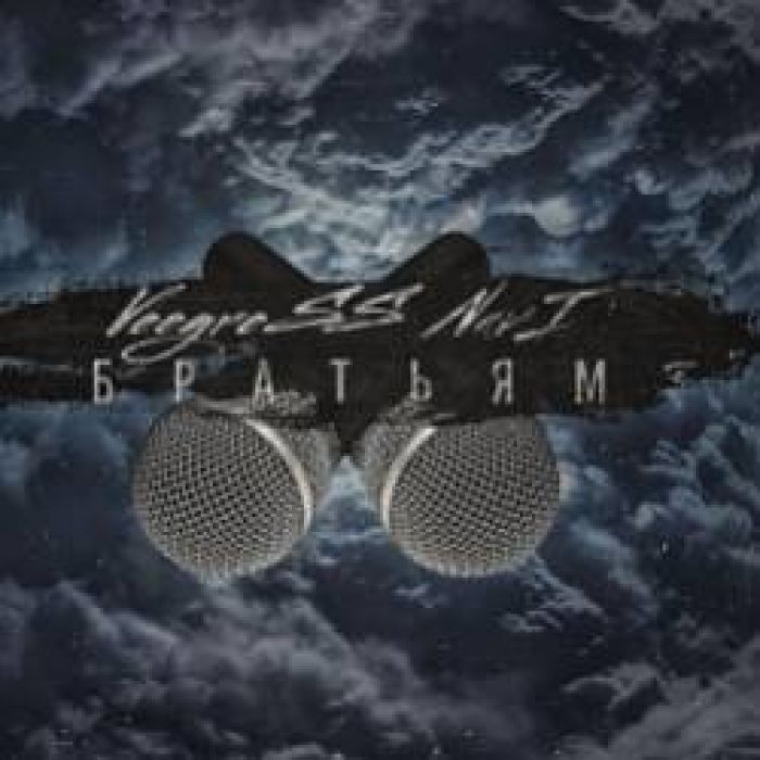 VeeGreSS NavI-Братьям