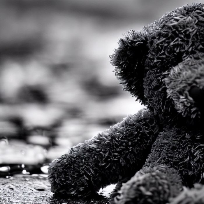 Виктор Бронский - Медведи осени