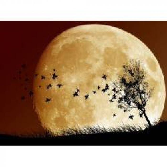 Виталий Кузлякин - Память