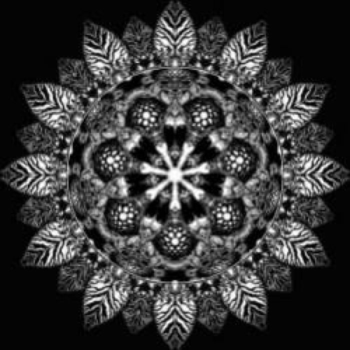 Владимир Анахорет-На ладонях