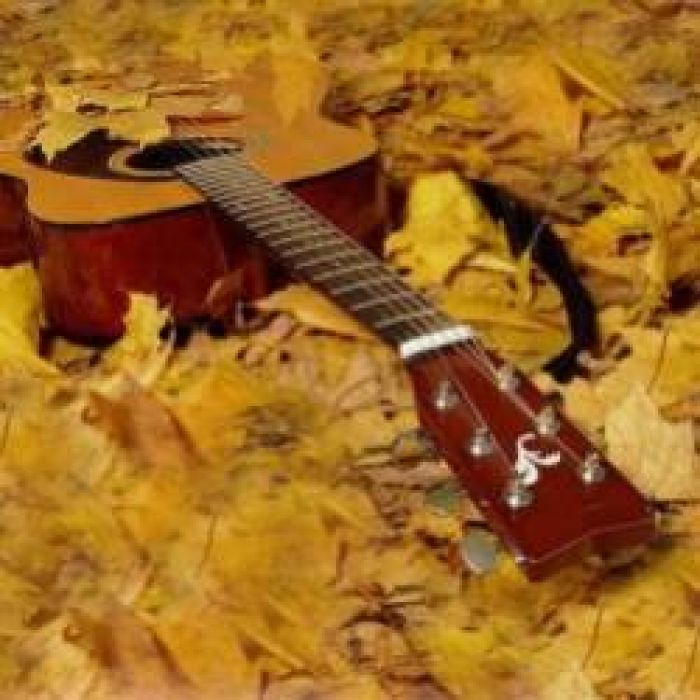 Владимир Багарт-Как всегда