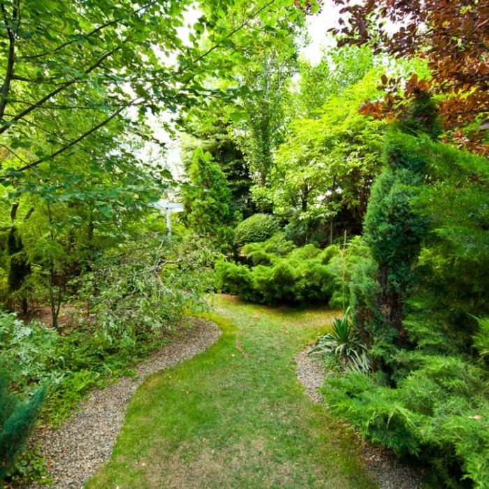 Вокал Ольга ИвахненкоOliva Гитара Соловьев Олегolsolof СтихиRFT Музыка Соловьев Олегolsolof-Без меня