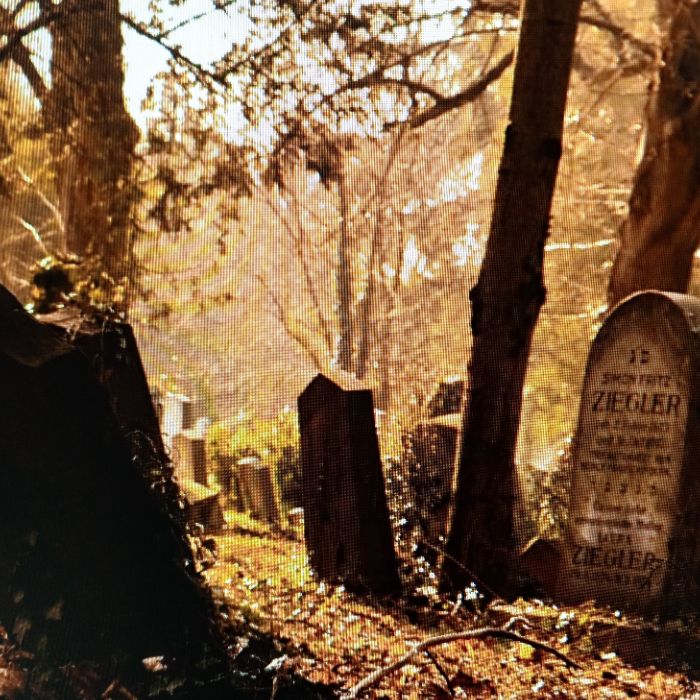 VolanTT - Я буду там