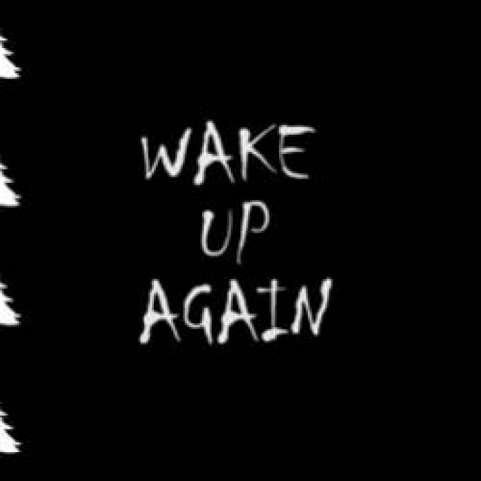 Wake Up Again-Эзотерия акустическая версия