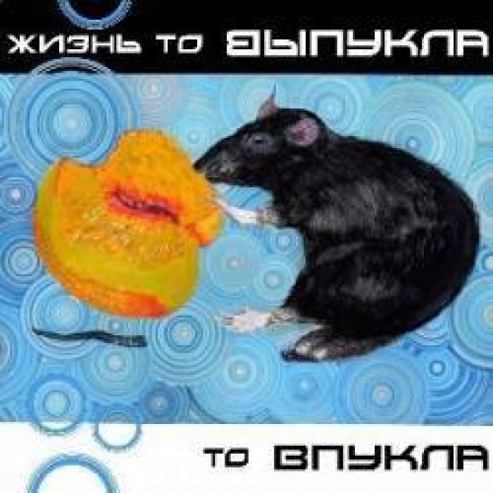 группа Mr.БЭНИШ - Дай дилэй