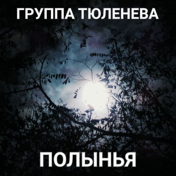 группа ТЮЛЕНЕВА - Полынья