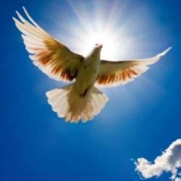 ivanetty-flight of lark полёт жаворонка