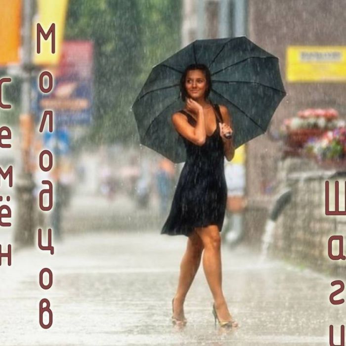 Семён Молодцов-Шаги