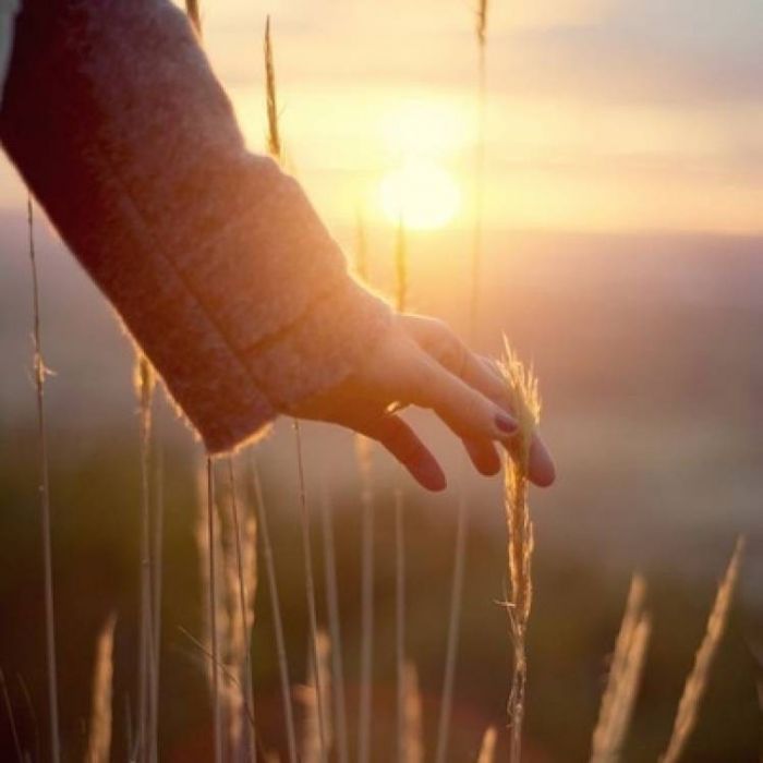 НЛапшин-Самыми яркими